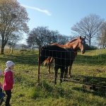 phoca_thumb_m_u kon 23 Fotogalerie